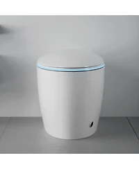 Casainc Unique Smart One-Piece Bathroom Fixture with Auto Seat, Foot Sensor, Led Display, Warm Water & Dryer