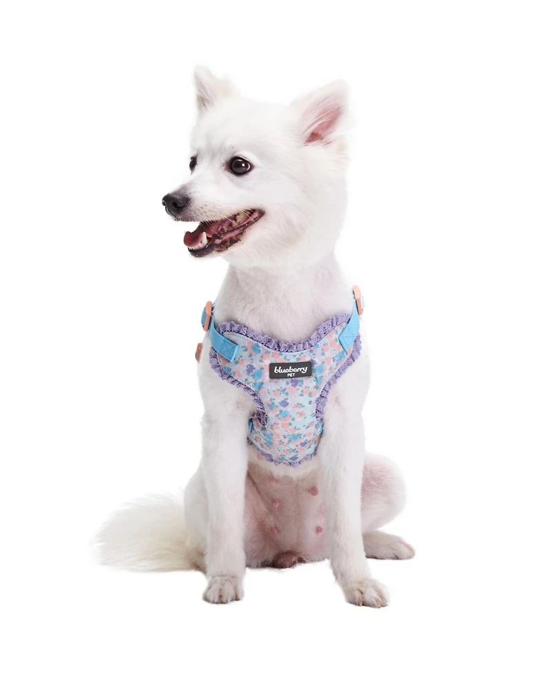Blueberry Pet Made Well Floral Print Dog Harness Vest With Lace Trim