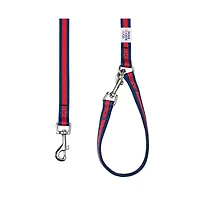 Dogs & Cats Co. Striped Dog Leash Red and Pink