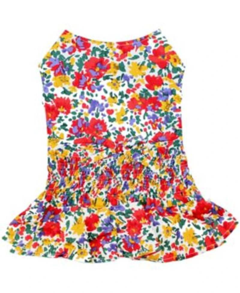 Parisian Pet Ruched Waist Floral Artsy Dress
