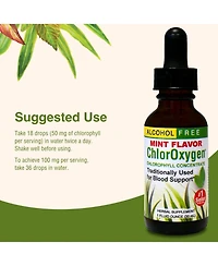 Trace Minerals Herbs Etc. ChlorOxygen Mint, 1 Fz