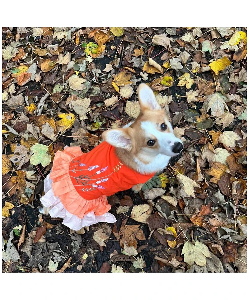 Parisian Pet Dress Color Block Garden