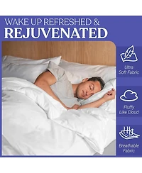 FluffCo Down Blended Comforter - Queen