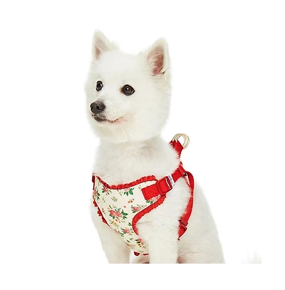 Dogs & Cats Co. Spring Floral Dog Harness with Chest Protection Panel