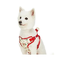 Dogs & Cats Co. Spring Floral Dog Harness with Chest Protection Panel