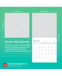 BrownTrout Dodge Viper Official | 2026 12 x 24 Inch (Hanging) Monthly Square Wall Calendar | Plastic-Free