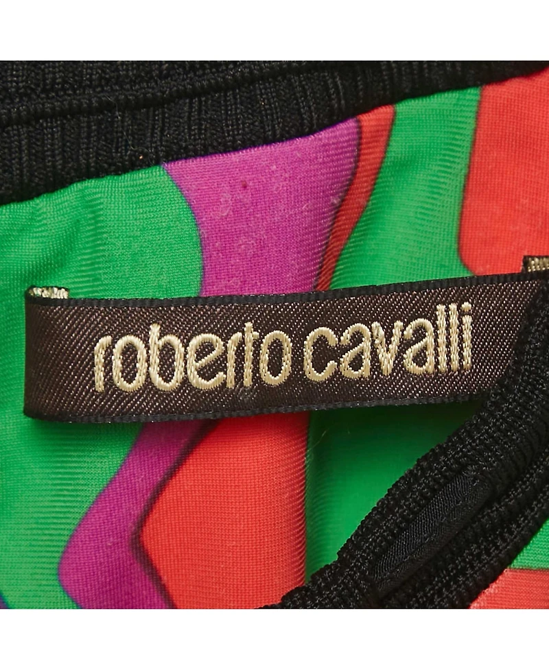 Pre-Owned Roberto Cavalli Womens Multicolor Printed Jersey Maxi Dress