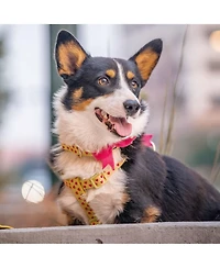 Blueberry Pet Velvety Polka Dot Dog Collar with Bow Baby Pink