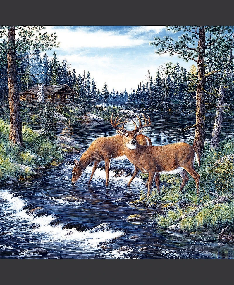 SunsOut Peaceful Morning 500 piece Jigsaw Puzzle for Adults