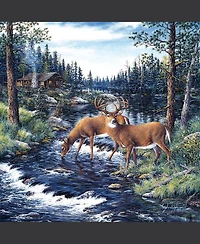 SunsOut Peaceful Morning 500 piece Jigsaw Puzzle for Adults