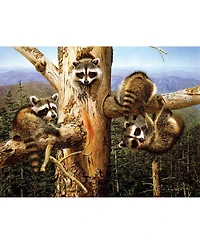 SunsOut Balancing Act 300 piece Jigsaw Puzzle for Adults