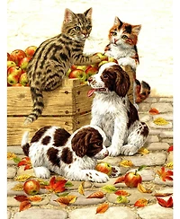 SunsOut Box of Apples 500 piece Jigsaw Puzzle for Adults