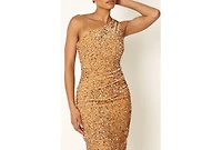 Petal and Pup Kiki One Shoulder Midi Dress