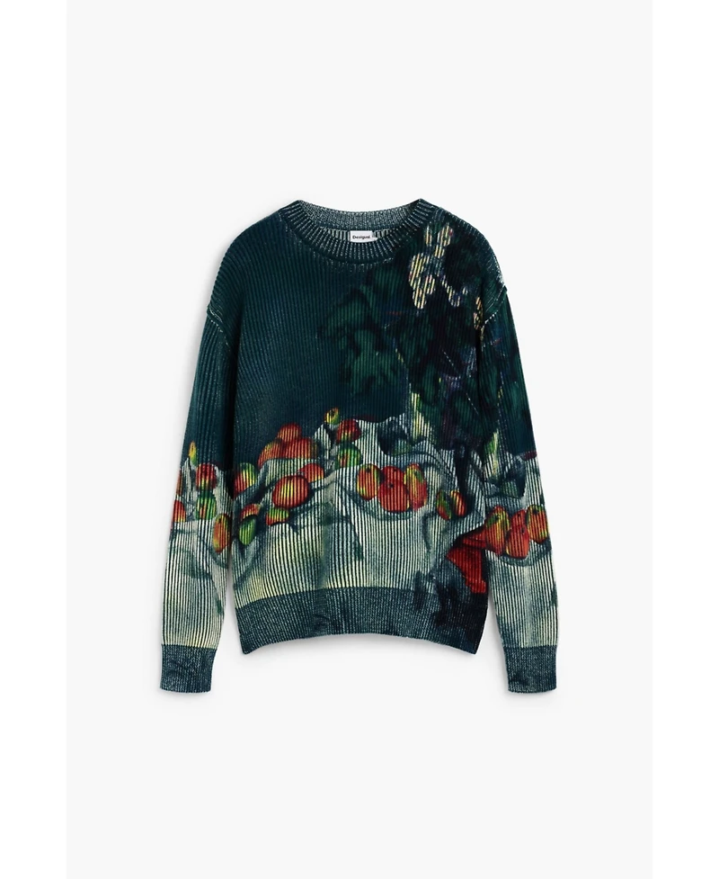 Desigual Men's Still life texture sweater