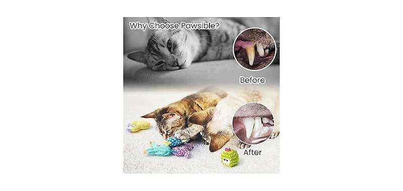 Nocciola 5 Pack Cactus Catnip Toys, 100% Organic Catnip Toys for Indoor Cats, Interactive Plush Chew Fun Without Cotton,