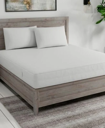 Fresh Ideas All In One Bed Bug Blocker 2 Pack Pillow Protectors