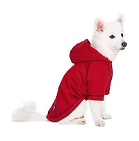 Blueberry Pet Better Basics Matching Hoodies for Dog & Owner Set