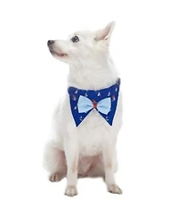 Blueberry Pet Scottish Bandana Bow Tie Dog Collar Set