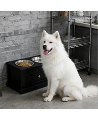 Aostirmotor 23.5 in. Wide Dog Bowls Elevated Feeding Station with Drawer in Black