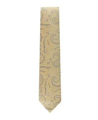 Tommy Hilfiger Men's Hawkins Paisley Pattern Tie