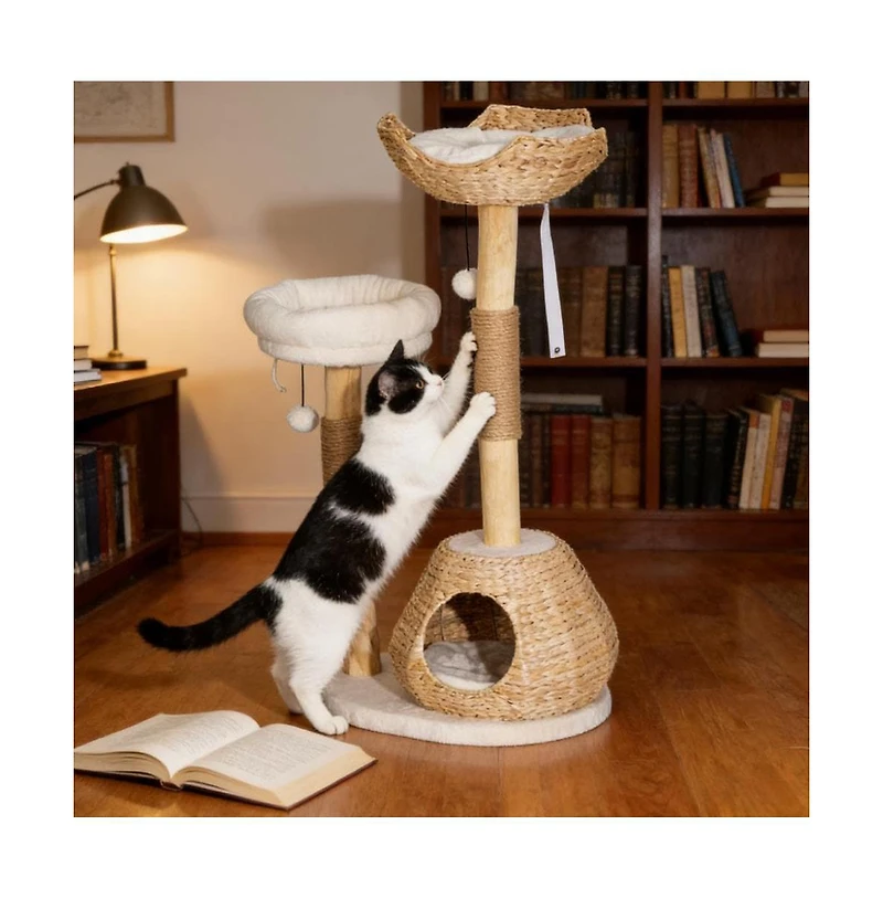 Zeus & Ruta Cat Tree Cat Tree for Indoor Cats with Wooden Cat Scratching Posts