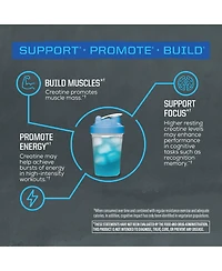 Sunwarrior micronized creatine monohydrate for muscle building, strength, recovery, and cognition; keto friendly