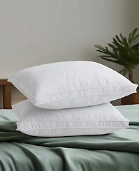 Unikome Gusseted Goose Feather 2-Pack Pillows