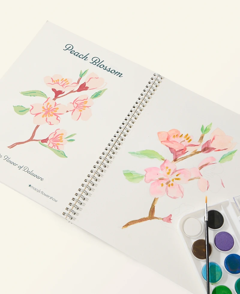 Macy's Flower Show Watercolor Book & Paint Set, Macy's Exclusive