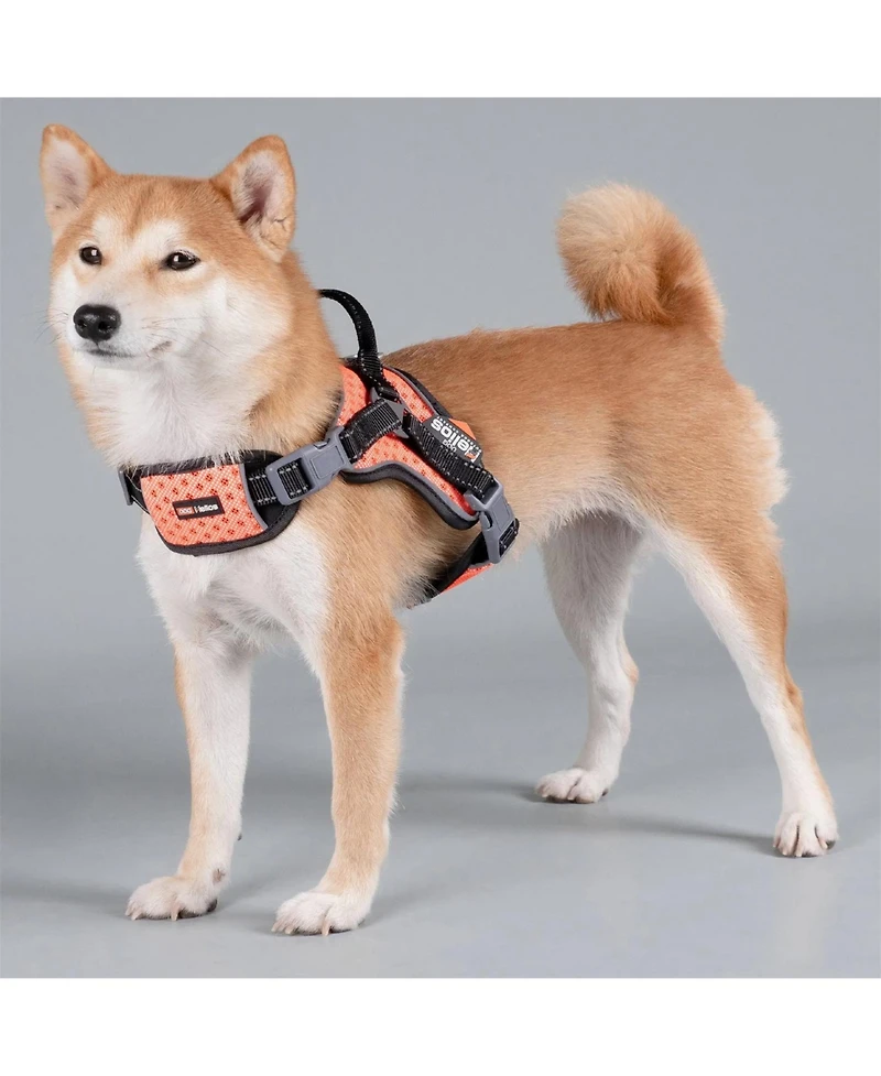 Aostirmotor High-Performance Sport Dog Harness “Helios Scorpion”