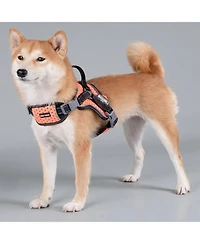 Aostirmotor High-Performance Sport Dog Harness “Helios Scorpion”