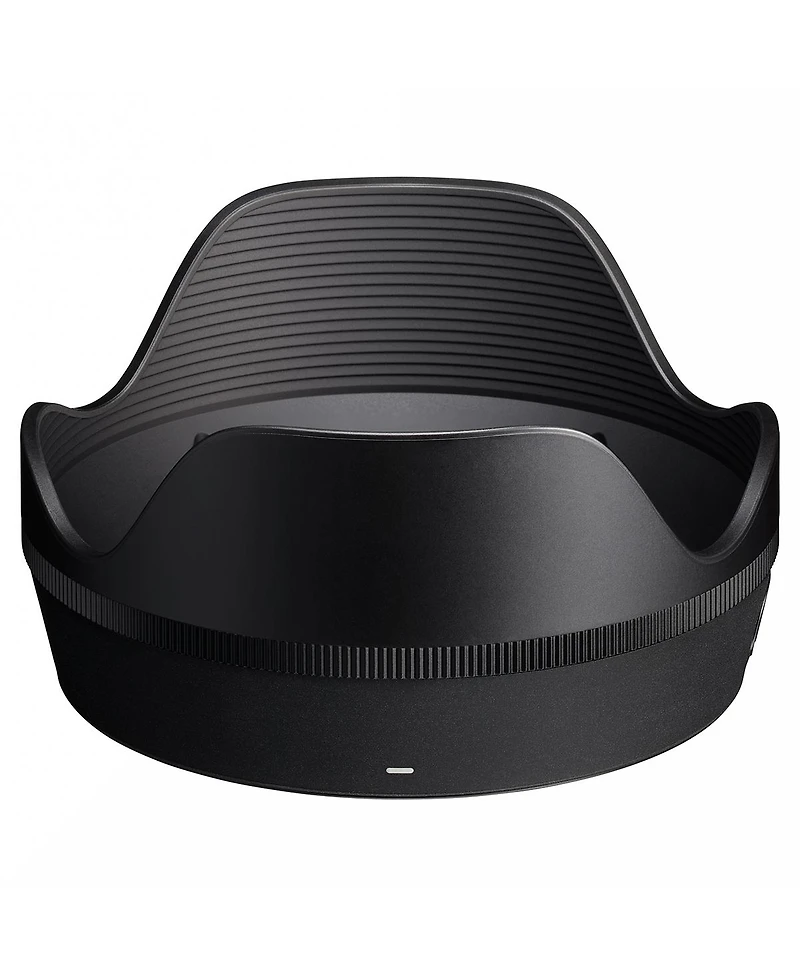 Sigma 17-40mm f/1.8 Dc Art Lens, Sony E