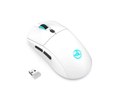 Risokeys 2.4G Wireless Rechargeable Mouse, 3600 Dpi Adjustable, 7-color Rgb Backlight, Ergonomic Silent Mouse,Type-C Charging, for Pc, Laptop, Mac