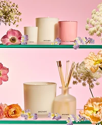 Apotheke Elderflower Sugar Classic Scented Candle, 10.5 oz.