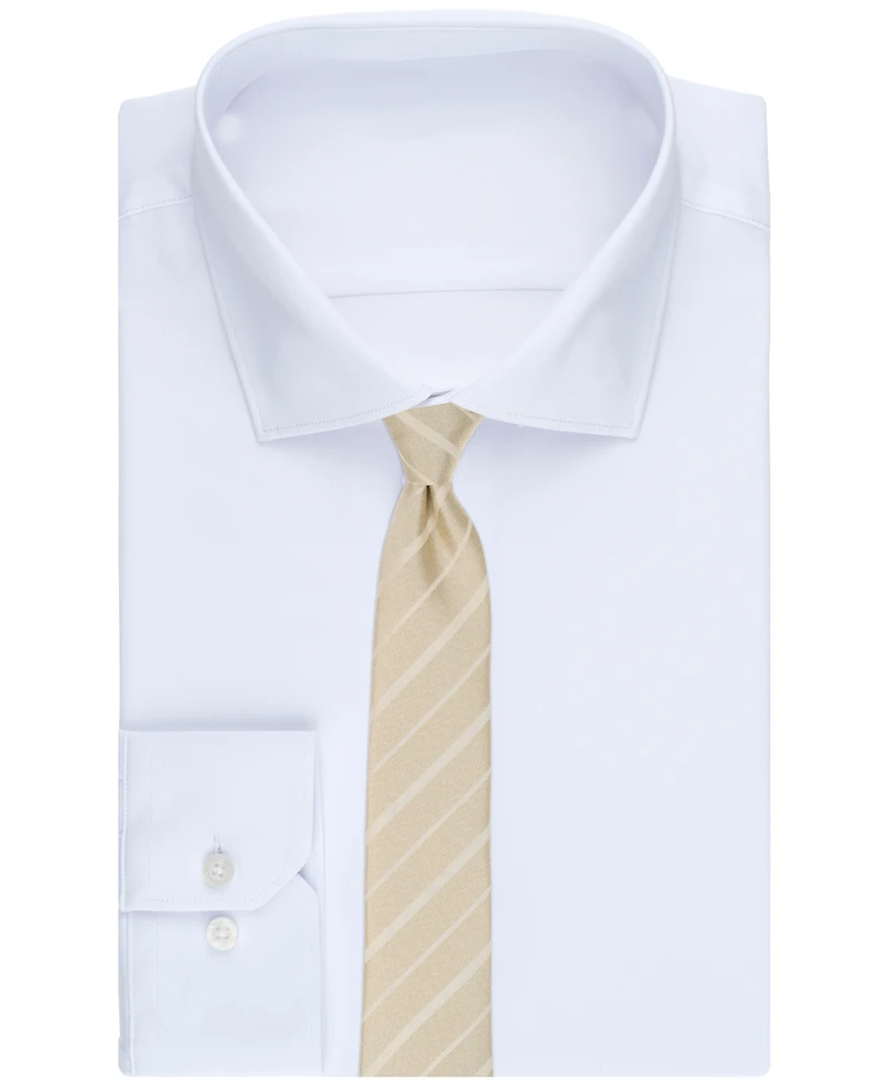 Alfani Men's Braden Stripe Tie