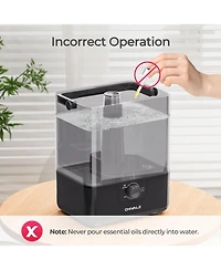 6L Cold Mist Humidifier with Oil Diffuser and Double Mist Outlets - Black