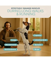 Lifepro PawRunner Compact Dog Treadmill – Indoor Pet Fitness Machine for Small & Medium Dogs up to 130 lbs – Durable Treadmill for Canin