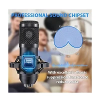ZealSound Podcast Equipment Bundle Audio Interface with All In One Live Sound Card Professional Condenser Microphone for Recording Live Streaming