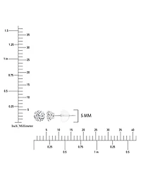 Macy's White Swarovski Zirconia Solitaire Earrings in 14k White Gold