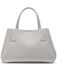 Dkny Bryar Silver-Tone Hardware Small Crossbody Satchel Bag