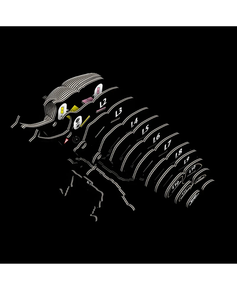 Eugy Rhino Beetle 3D Puzzle