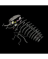 Eugy Rhino Beetle 3D Puzzle