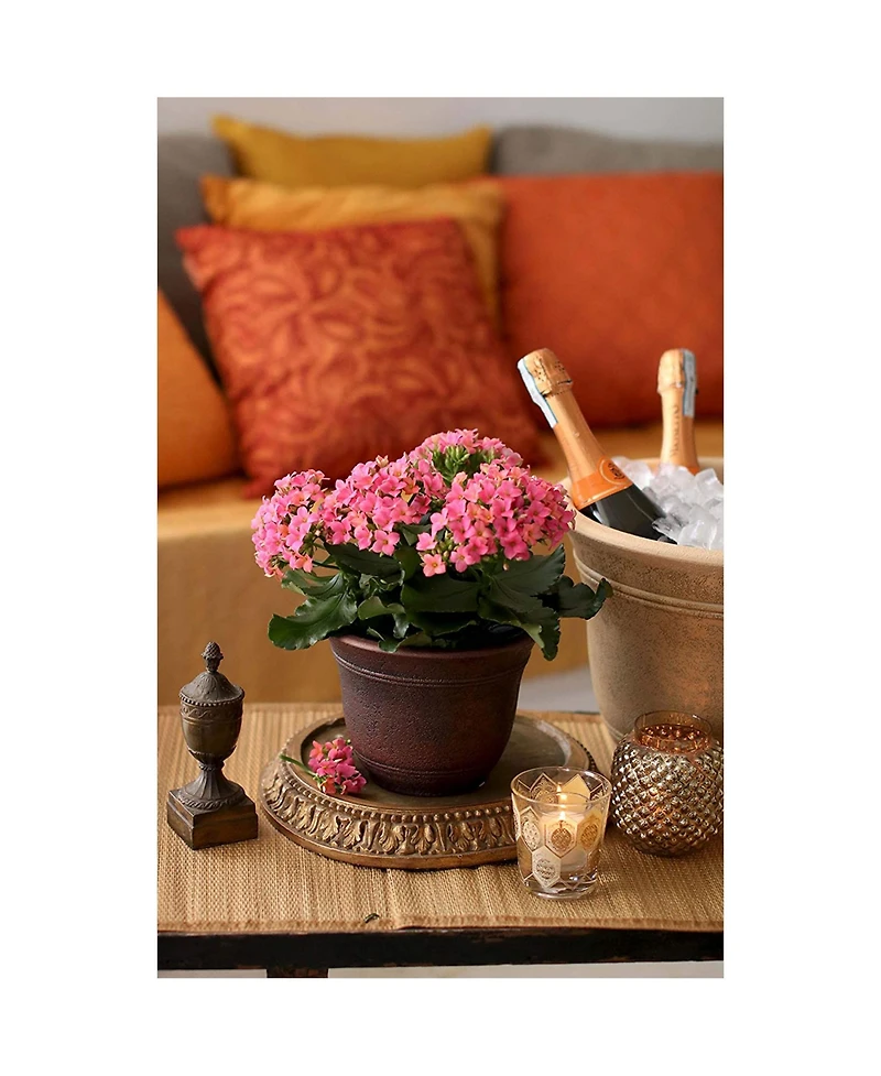 Listo Hc Companies 13-Inch Wide Sierra Planter Round Plastic Planter