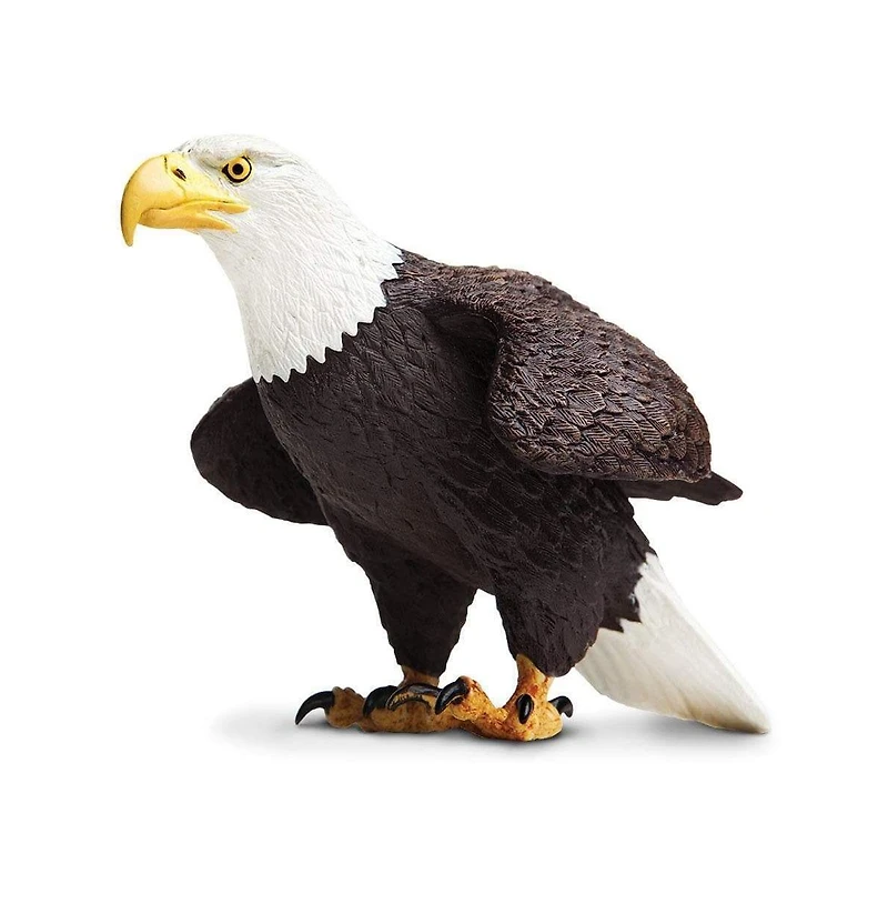 Safari Ltd. Toy Bald Eagle Figurine