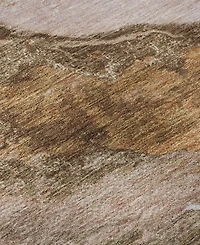 Addison Mayfield AMF2054 10'x14' Area Rug