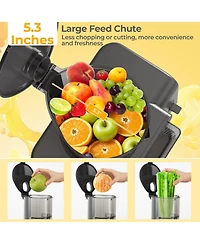 Costway Cold Press Juicer Machine Professional Slow Masticating Juicer with Reverse Button