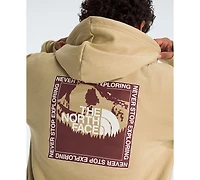 The North Face Men's Stay Exploring Regular Fit Hoodie
