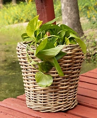 Artifacts Trading Company Round Planter with Plastic Insert