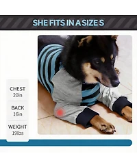 Aronkl Dog Recovery Sleeve for Knee Protection and Joint Support - Easy to Wear