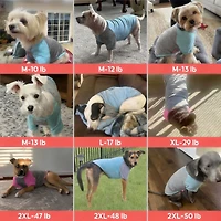 Aronkl 2-Pack Lightweight Athletic Dog T-Shirt with Reflective Label for Outdoor Use