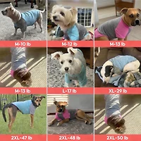 Aronkl 2-Pack Lightweight Athletic Dog T-Shirt with Reflective Label for Outdoor Use